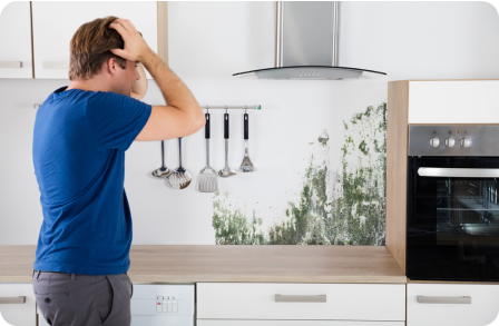 Learn How to Care for Your Surfaces