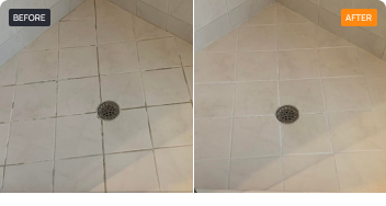 Shower Cleaning